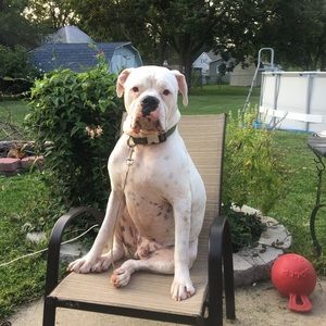 Meet your Posher, Janna